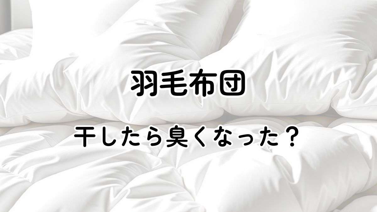 羽毛布団を干したら臭くなった｜理由や対処法・クリーニング業者を調査